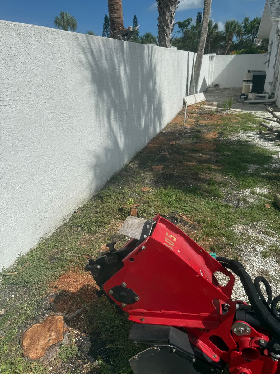 Stump Removal for Damian’s Tree Care in Sarasota, FL