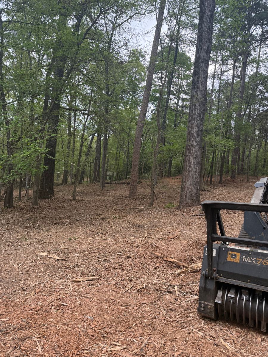 Forestry Mulching for 903 Mulching in East Mountain, TX