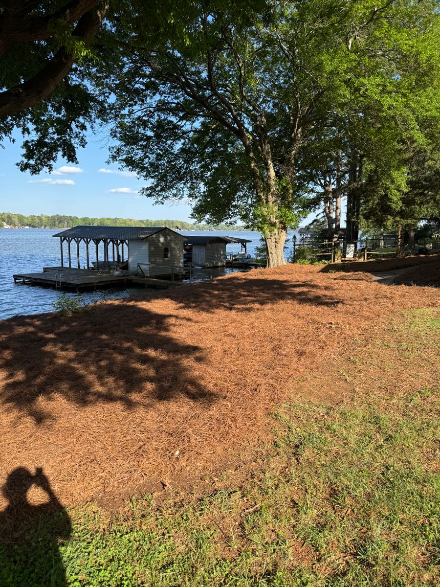 Pine Straw Installation for Grandview Lawn Care in Norwood, NC