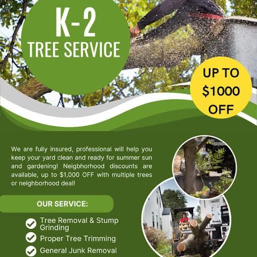 Debris Removal for K-2 Tree Service in Shelby, NC
