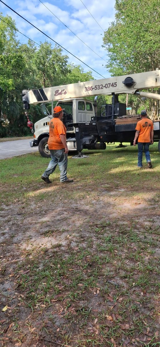 Tree Removal for Daniel Hickey’s Tree Service in DeLand, FL