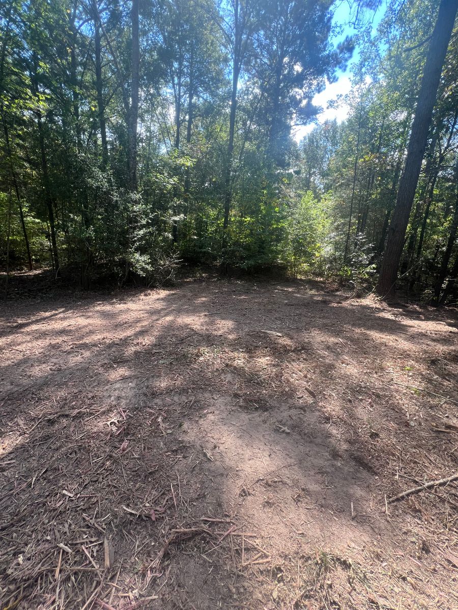 Forestry Mulching for 903 Mulching in East Mountain, TX