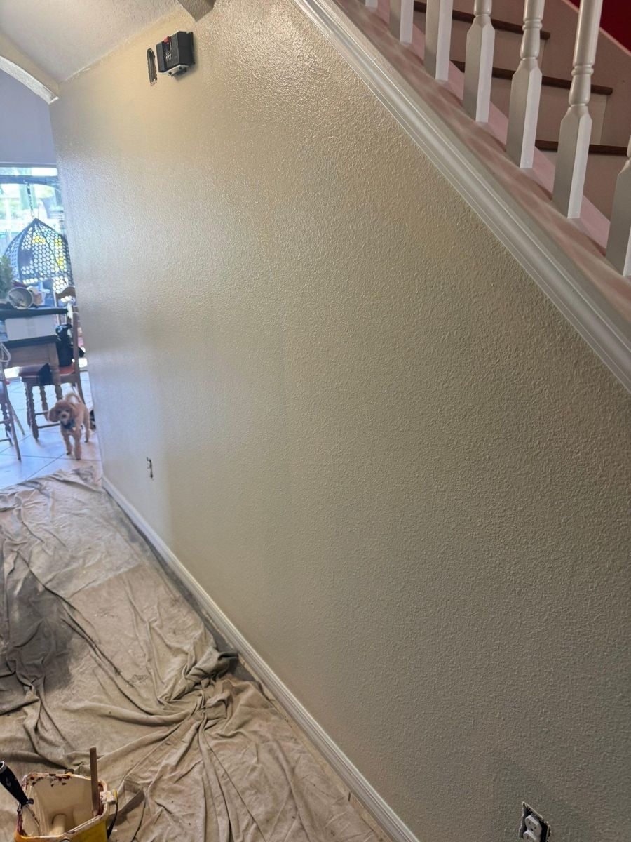 Interior painting for Florida West Coast Home Services in New Port Richey, FL
