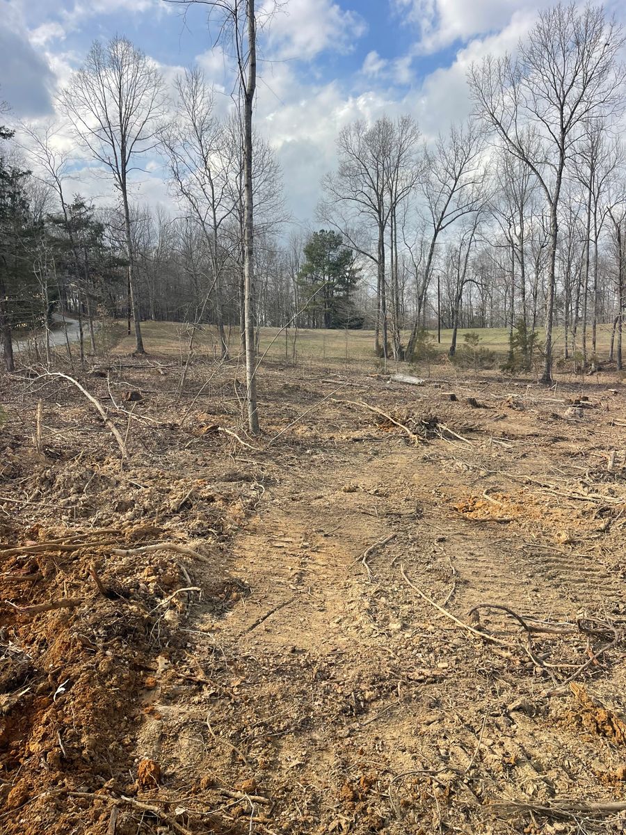 Forestry Mulching for Maness Trucking & Excavation in Lexington, TN
