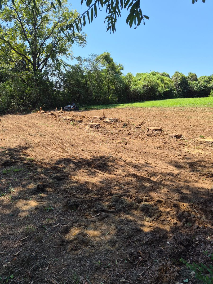 Land Clearing for 5 Star Land Management in Beech Bluff, TN