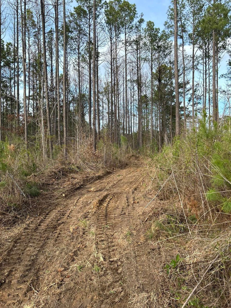 Land Clearing for Kountry Construction in Brookhaven, MS