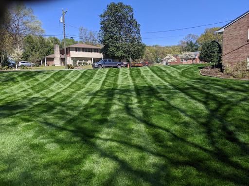 Weed Control for E-Z Care Lawn Service in Prince George, VA