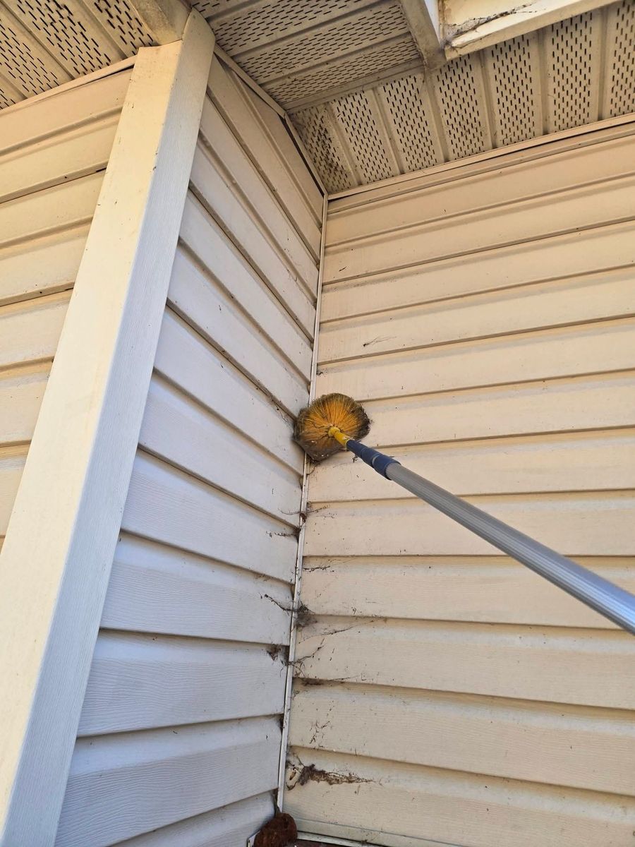 Residential Pest Control for Bug Blasterz LLC in Huntsville, AL