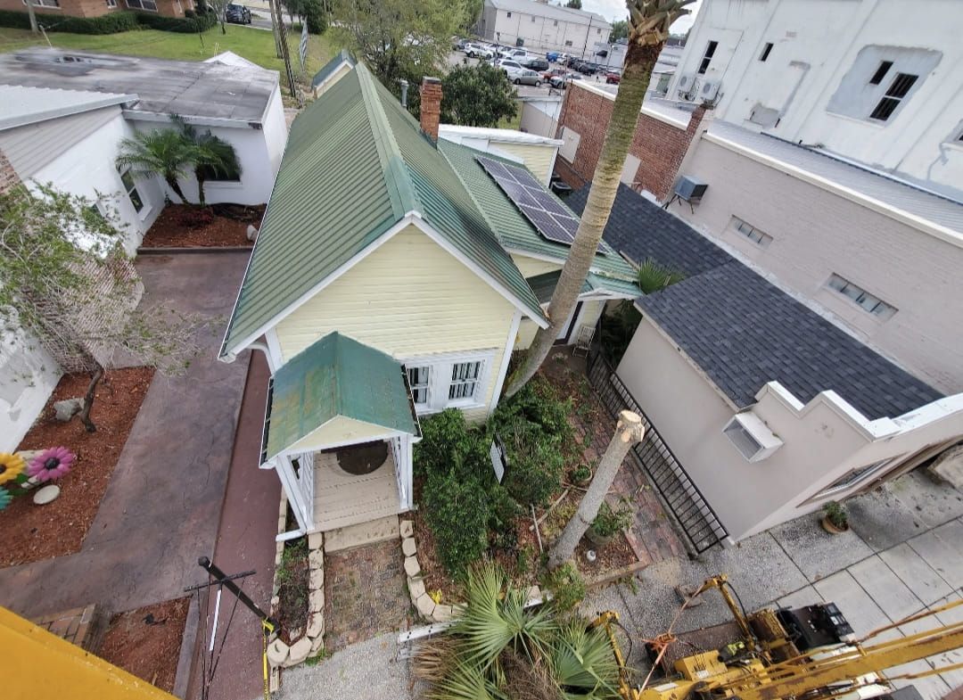 Tree Trimming for Regal Tree Service and Stump Grinding in Wauchula, FL