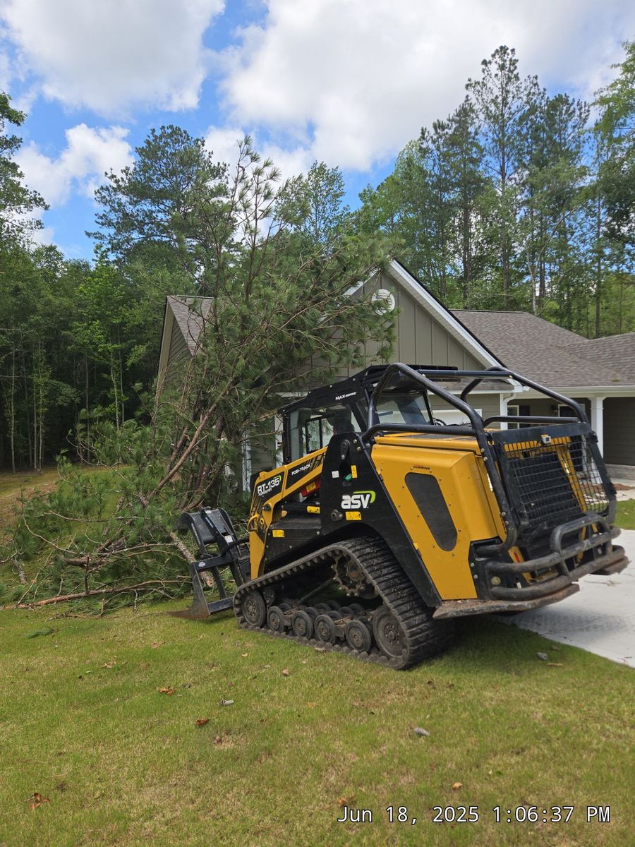 Emergency Tree Service for Bulldawg Disaster Response in Atlanta, GA