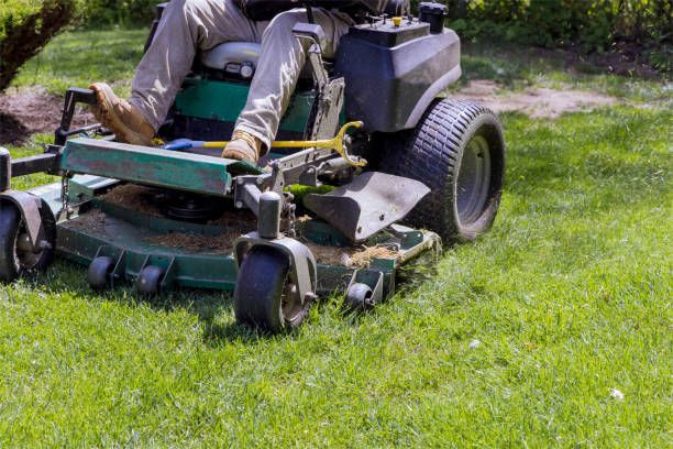 Lawn Care for Rodge Dawg Services and Property Management  in Port Huron, MI