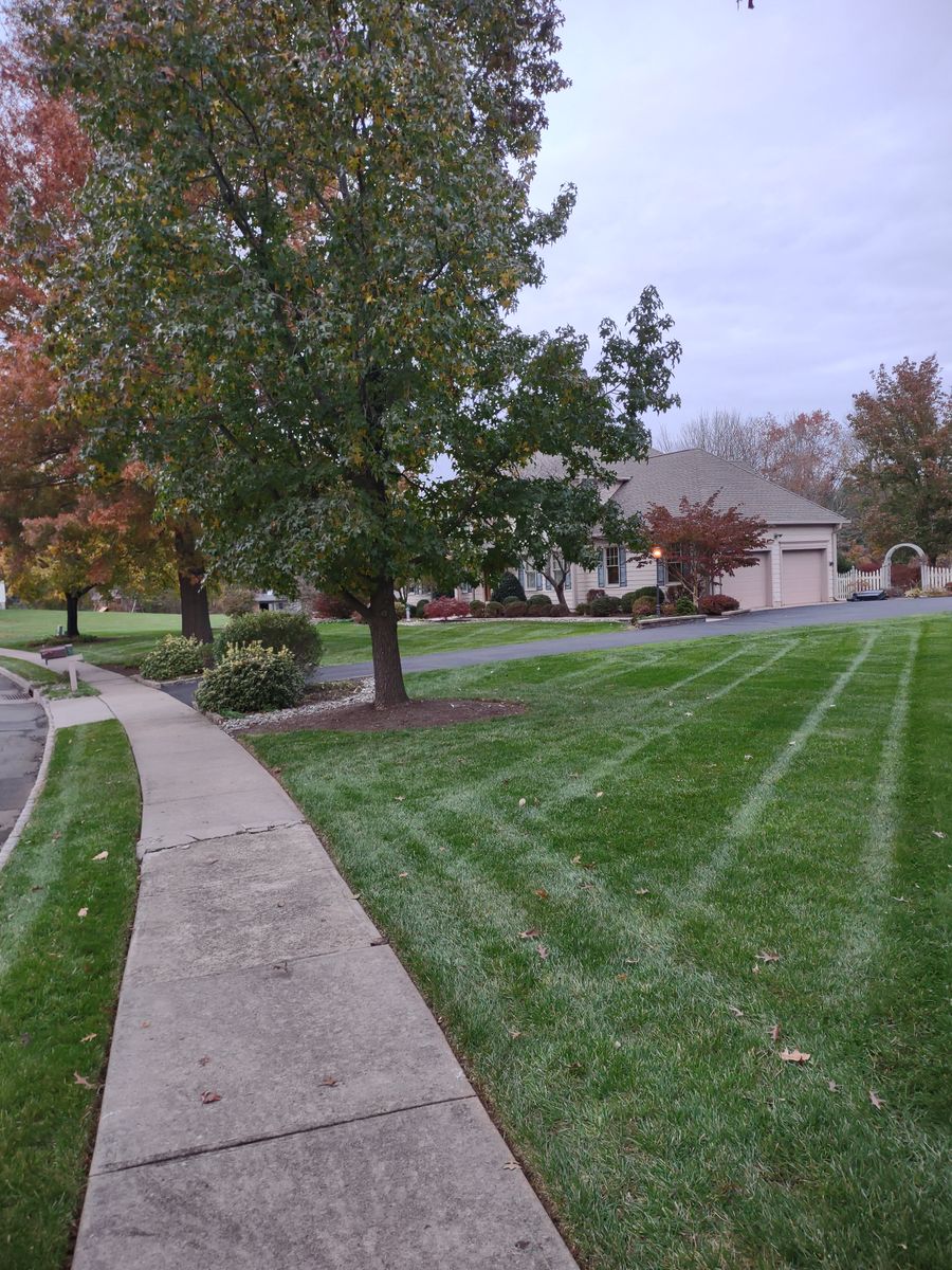 Property Maintenance for Ettere Landscape Services in Flemington, NJ