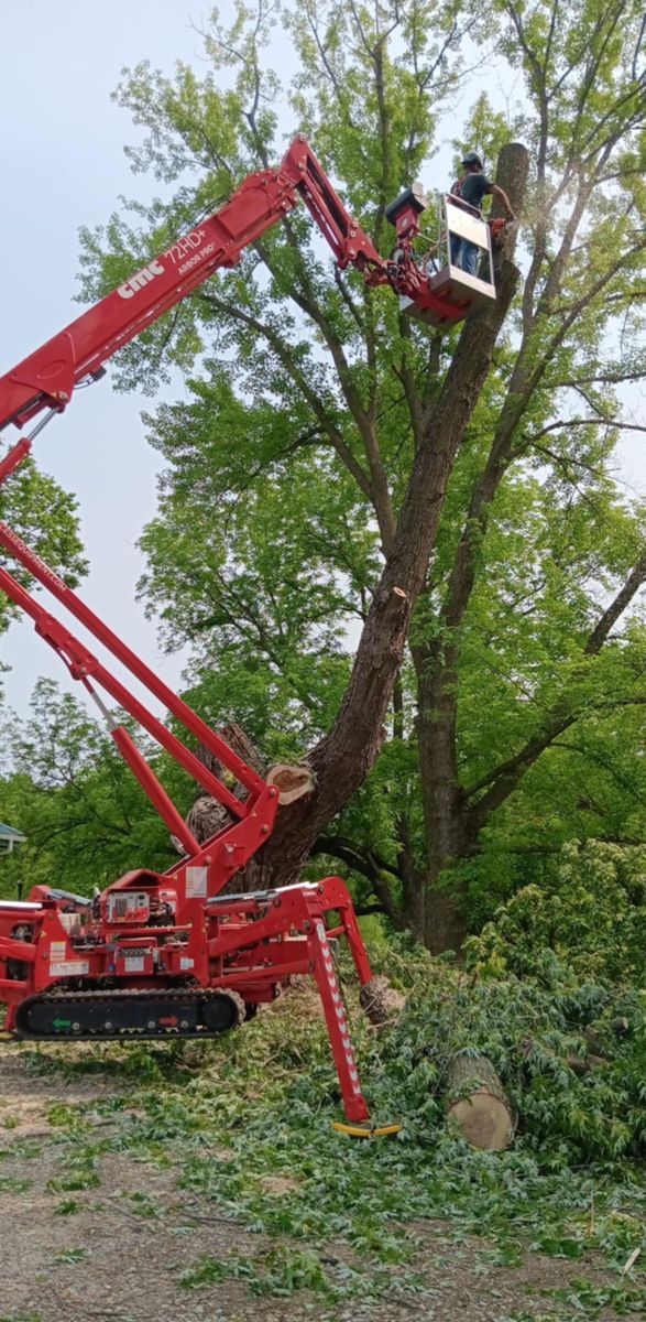 Tree Trimming for Lawn Ranger Yard And Tree Service LLC in Ottumwa, IA