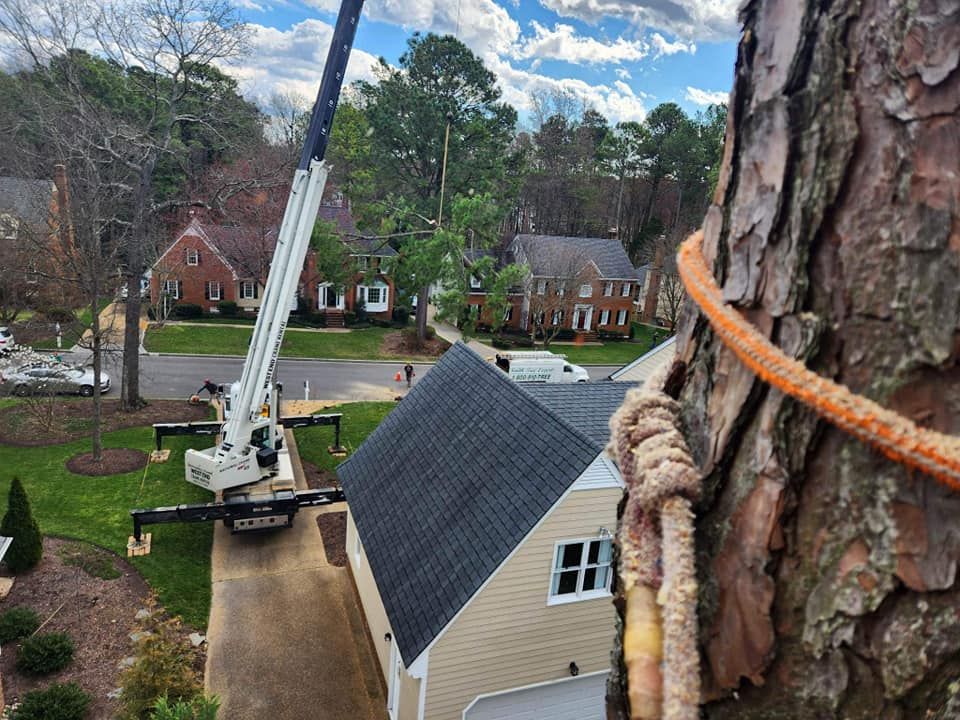 Emergency services and Storm Damage for Smith Tree Experts in Palmyra, VA
