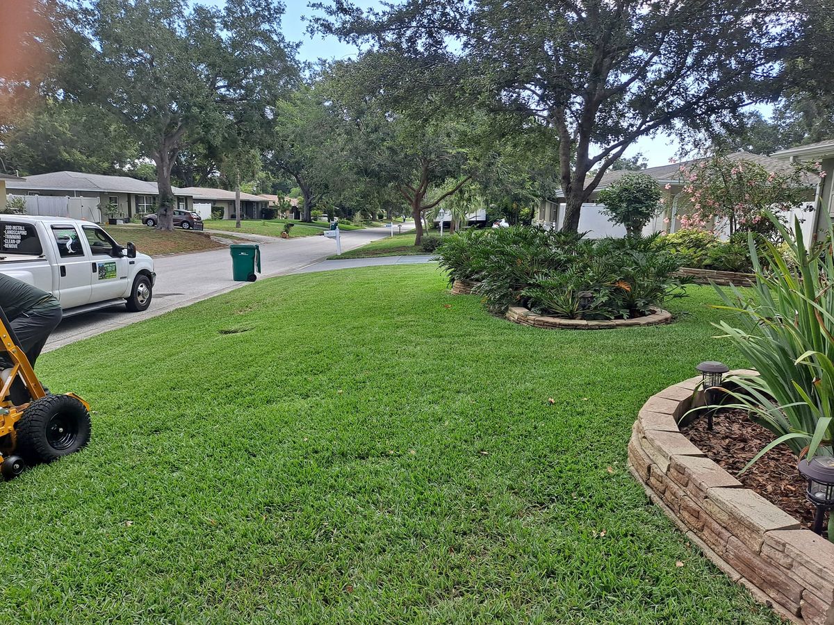 Fall Clean Up for Sanchez Tree Service in Largo, FL