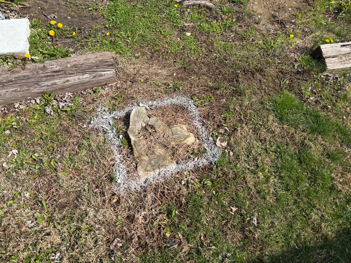 Stump Removal for Conrad's Stump Removal in Columbus, IN