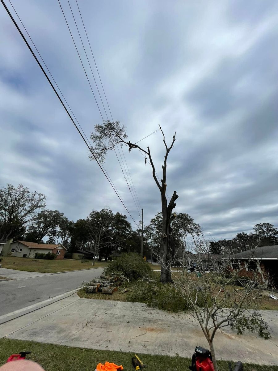 Storm Cleanup for Mr Timber in Ocala, FL