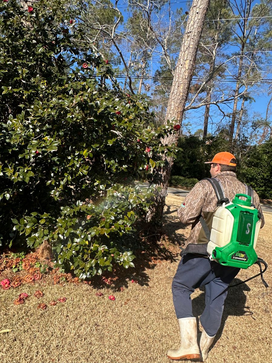 Shrub & Tree Care for Kathleen's Lawn & Shrub Care in Augusta, GA