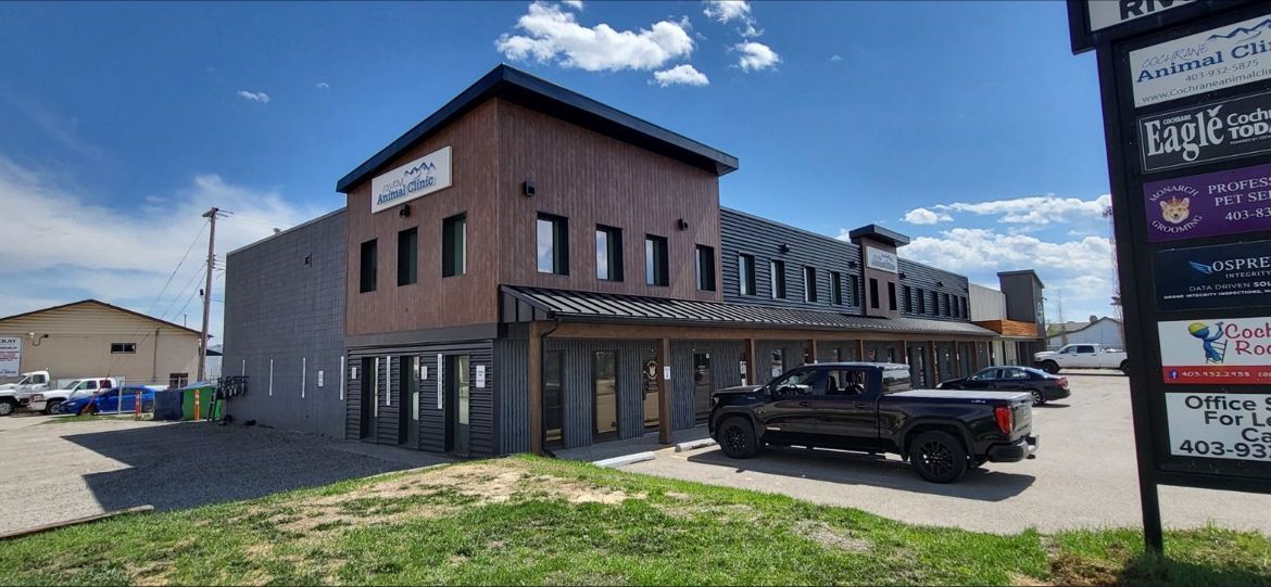 Roofing Installation for Triumph Inc - Repair & Maintenance in O'Connor - Parkview, ON