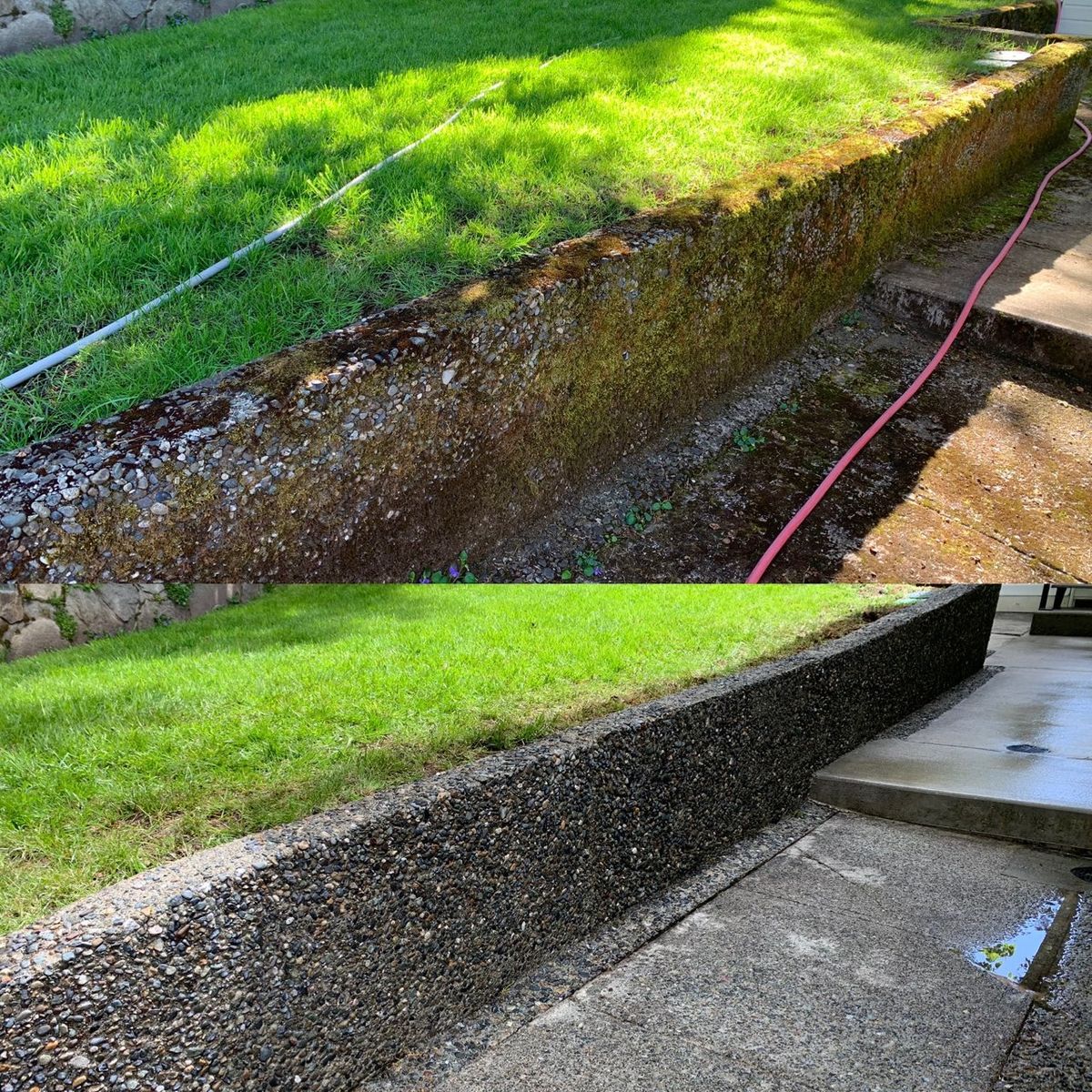 Home Softwash for Port City Power Washing in Wilmington, NC