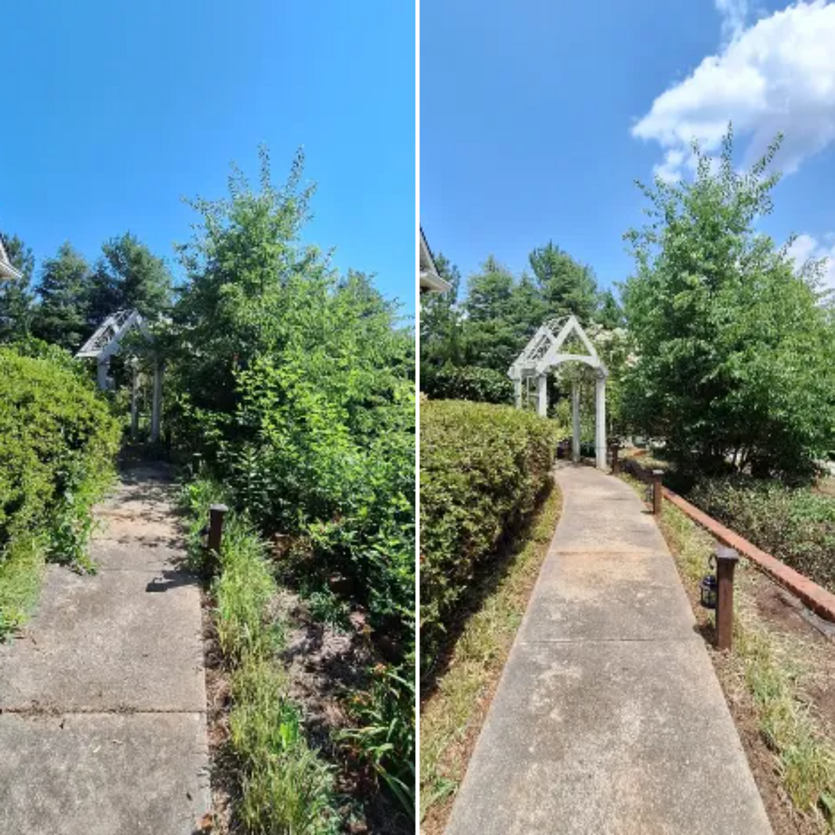 Residential Lawn Care for Olmedo Home Services in Davie County, NC