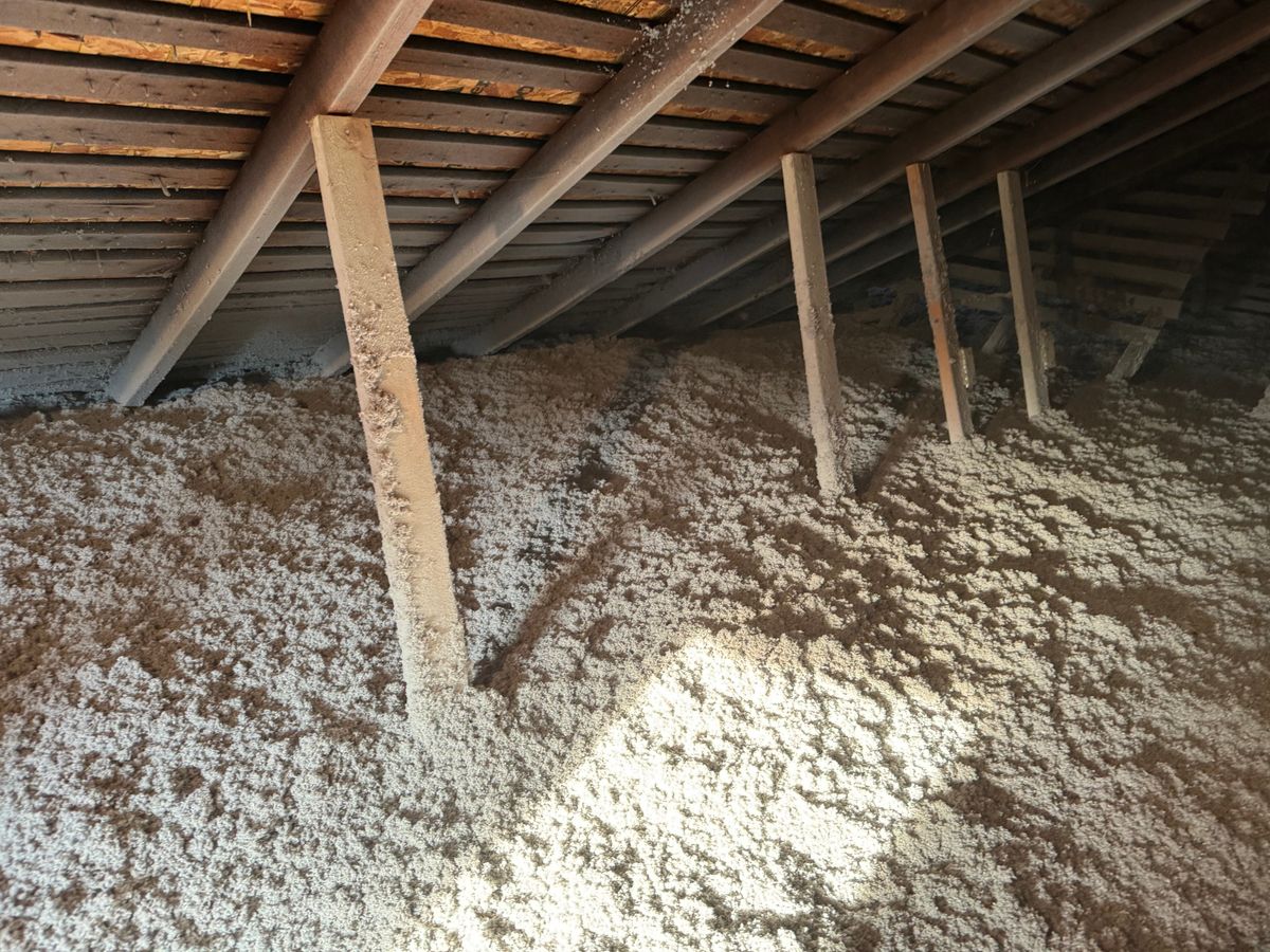 Crawl Space/Attic Renovation for All-In Pest Control & Home Solutions in Greene County, IN
