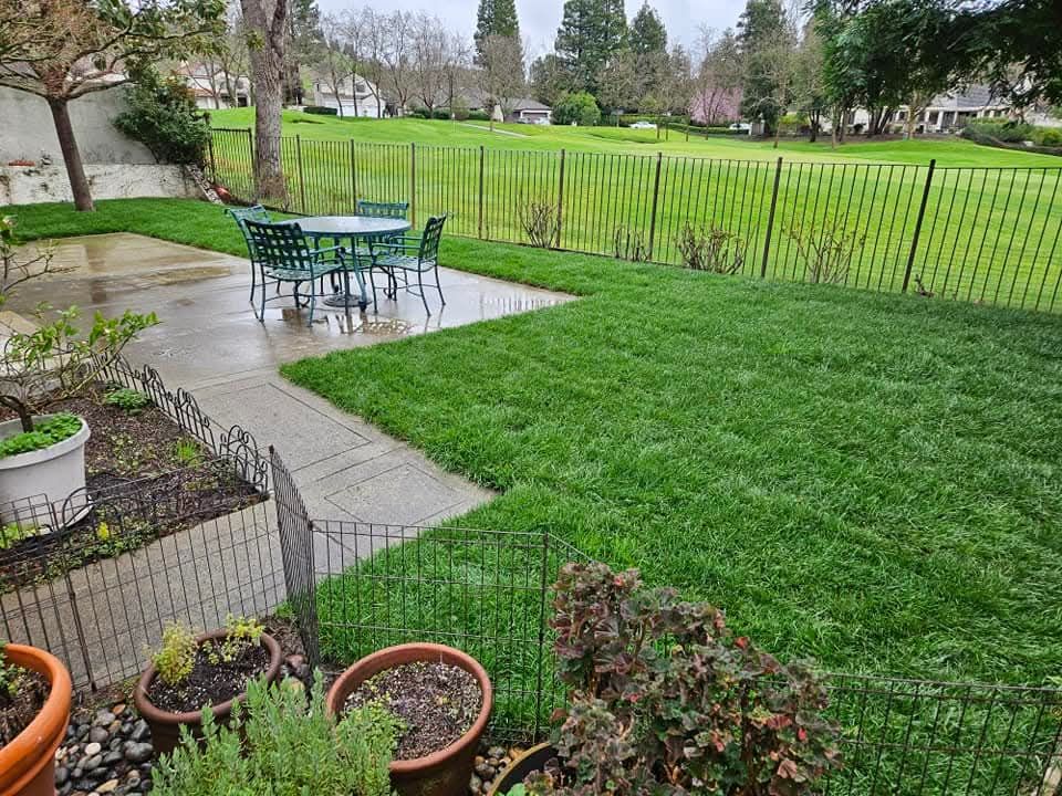 Horticultural Design for Martin Stanko Landscape Construction in Livermore, CA