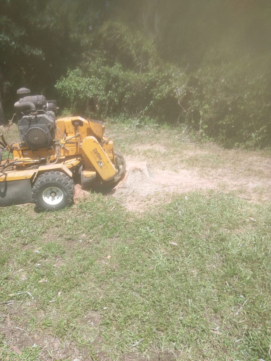 Stump Removal for Reymundo's Tree Service in Brownsboro, TX