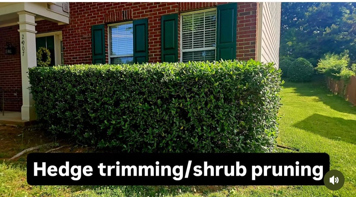 Landscaping for Surprising Odyssey in Gibsonville, NC