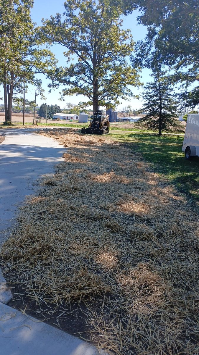 Land Clearing for Willing Trucking & Excavating in Evansville, WI