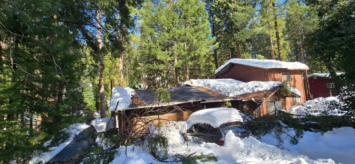Storm Damage for George Staddan's Professional Tree Care in Placerville, CA