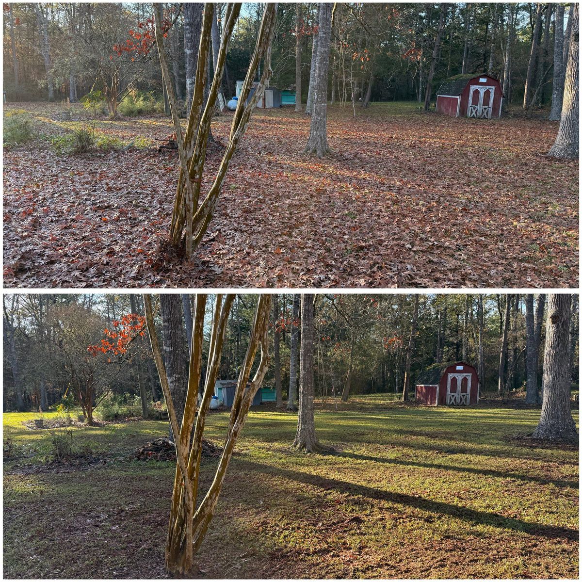 Yard Prep for JT’s Landscaping in Tyler County, TX