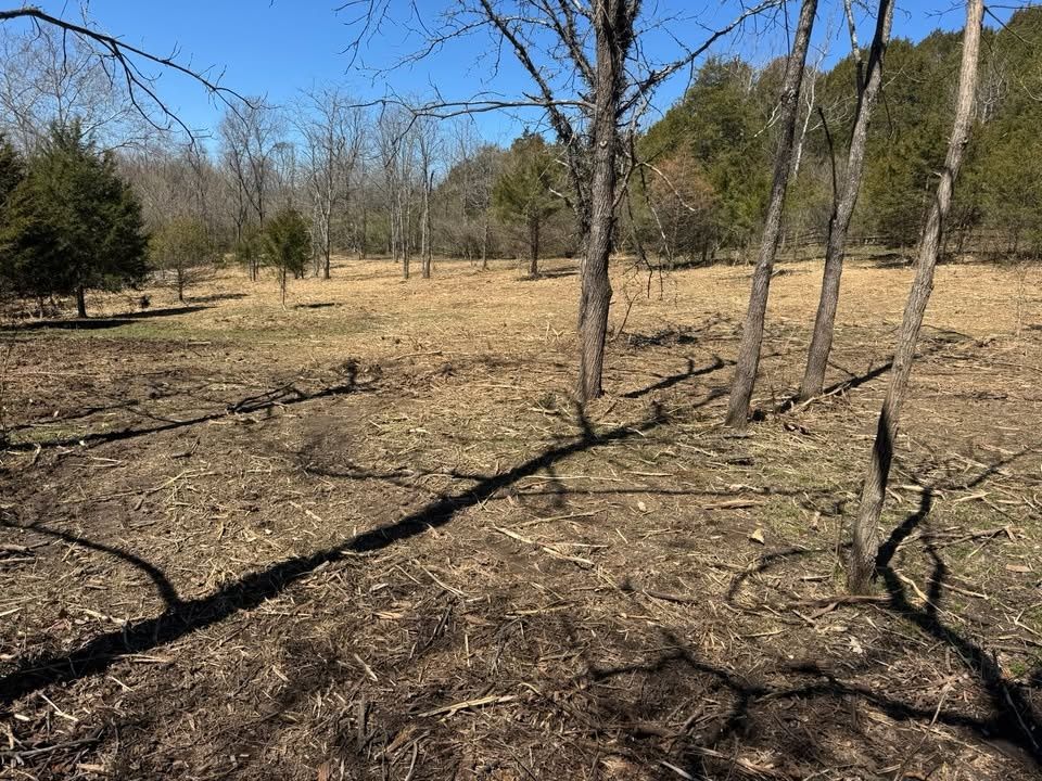 Land Clearing for Barkers Outdoor Services in Hamilton, OH