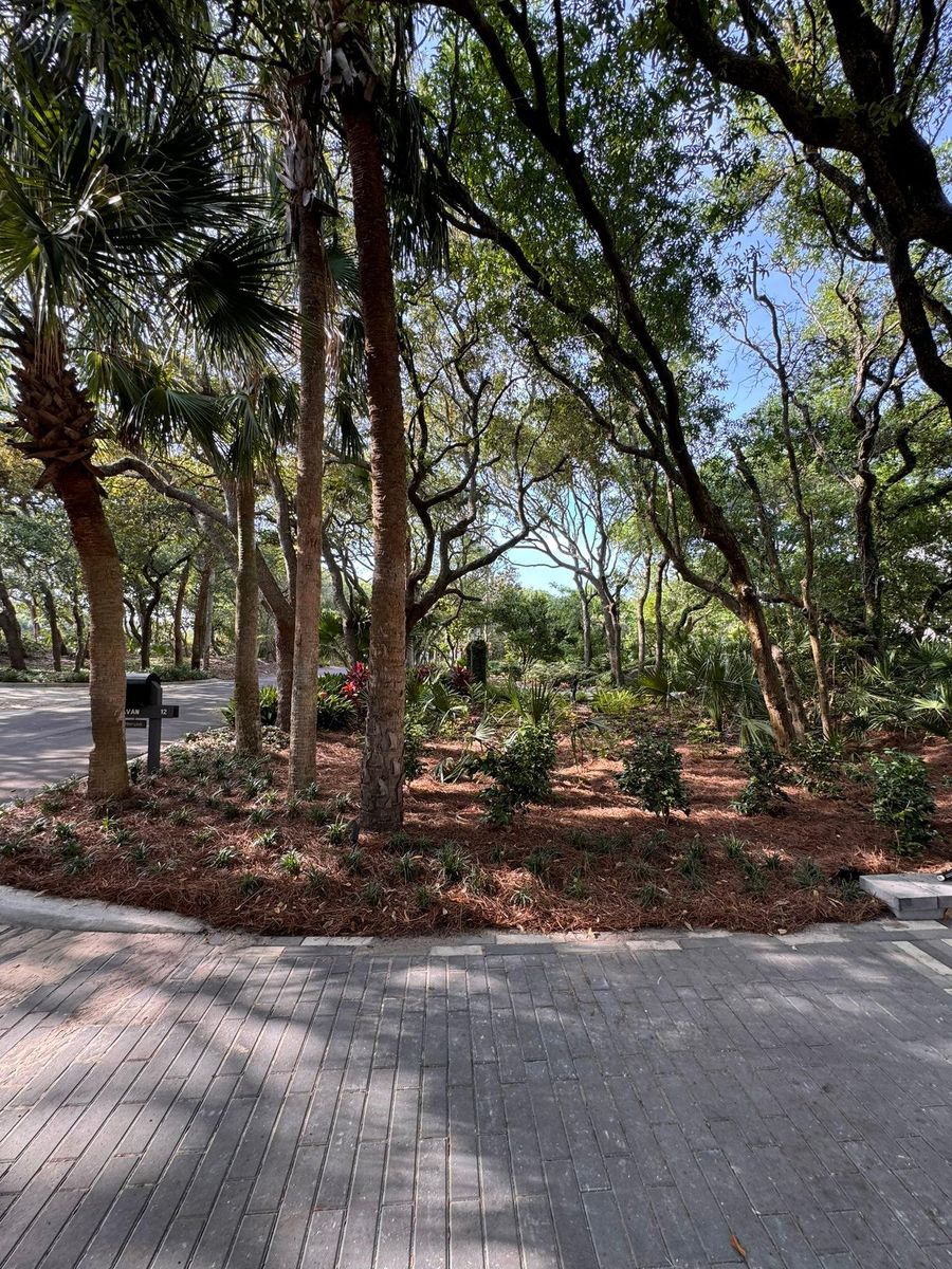 Commercial Landscape & Maintenance for Pro Designs Landscaping in Jacksonville, FL