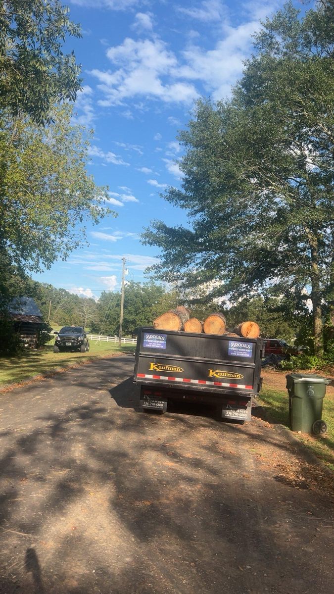 Fall Clean Up for Brooks Tree Service, LLC in Casar, NC