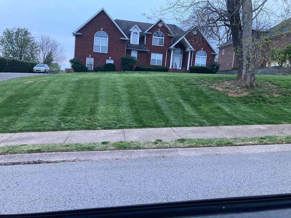 Shrub Trimming for Grass Management in Nashville, TN