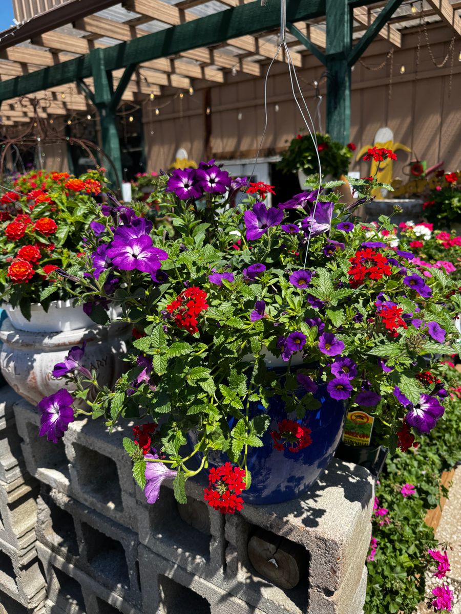 Gardening for Mayfield Landscaping in Staunton, IL