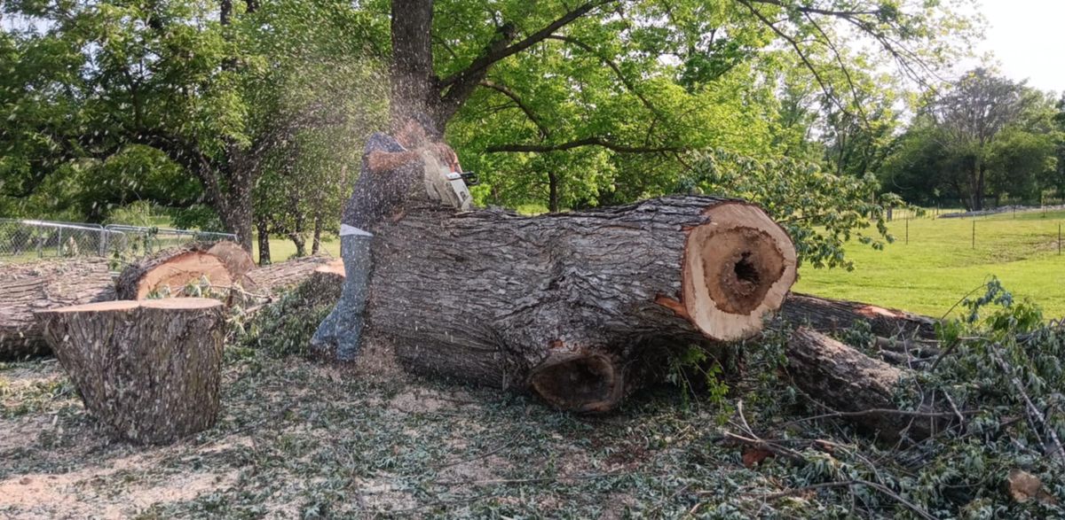 Tree Removal for Lawn Ranger Yard And Tree Service LLC in Ottumwa, IA