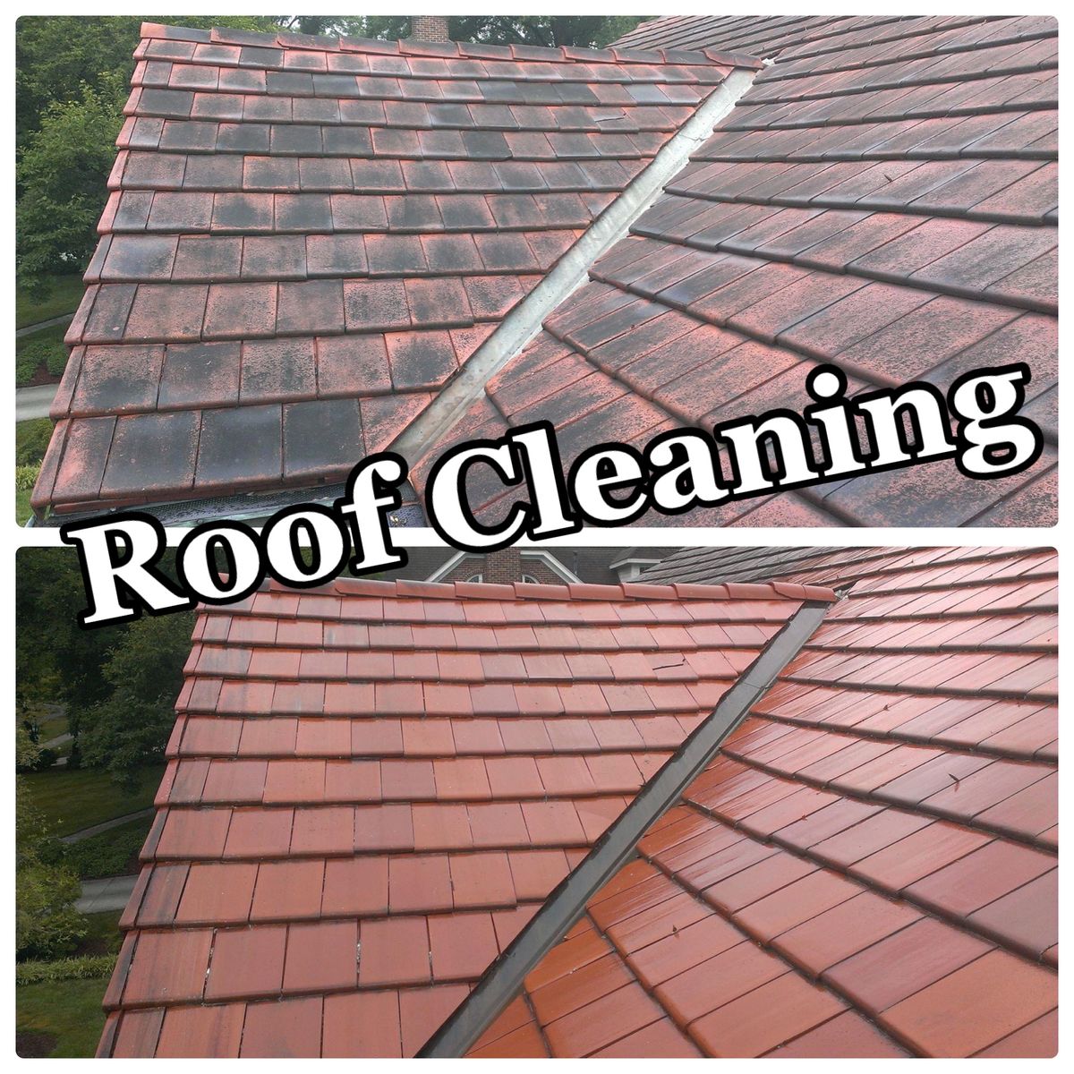 Roof Cleaning for Port City Power Washing in Wilmington, NC