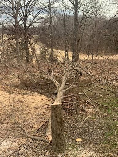 Fall Clean Up for JM Lawn and Landscape in Bella Vista, AR