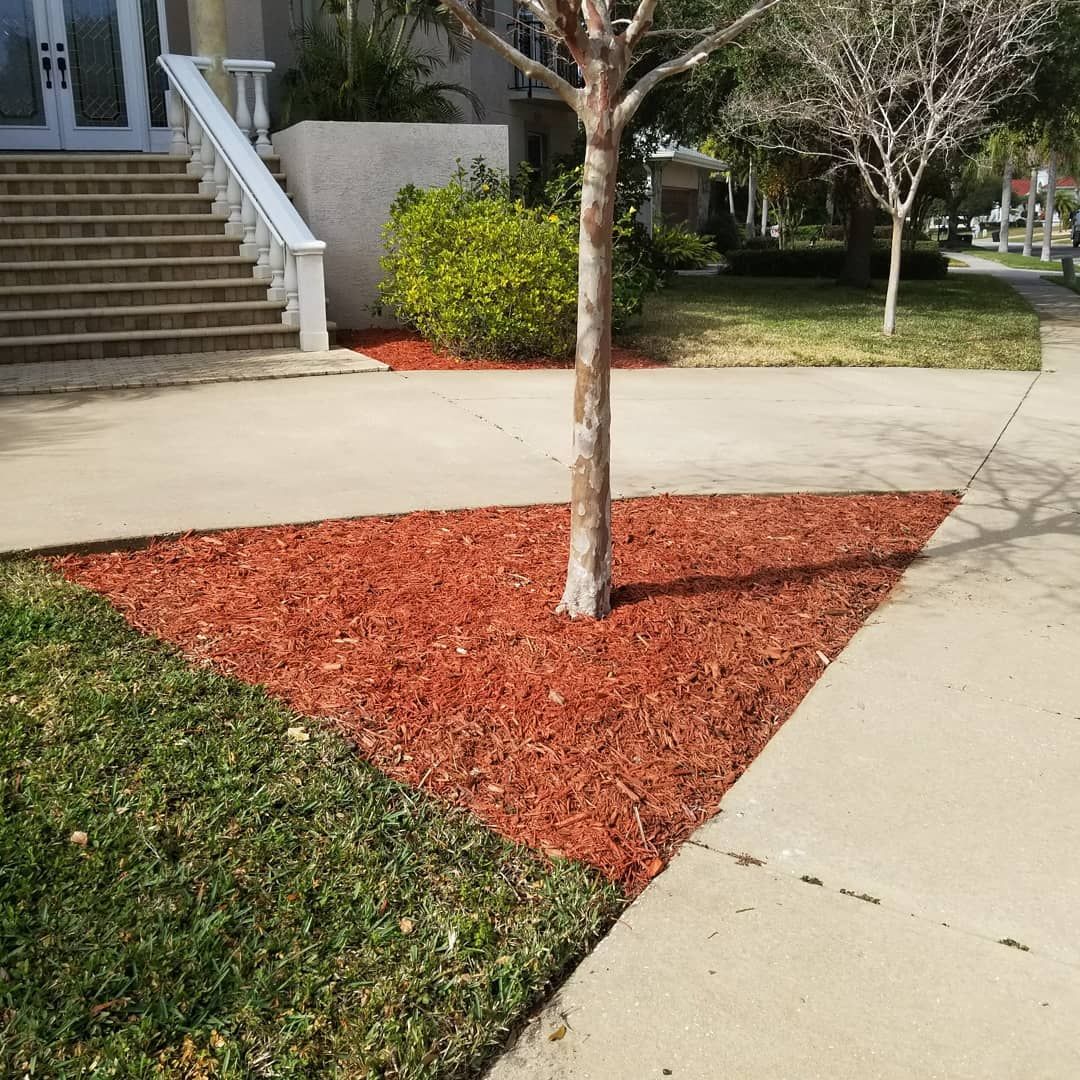 Mulch Installation for Curb Appeal Lawn Care LLC. in Gulfport, FL