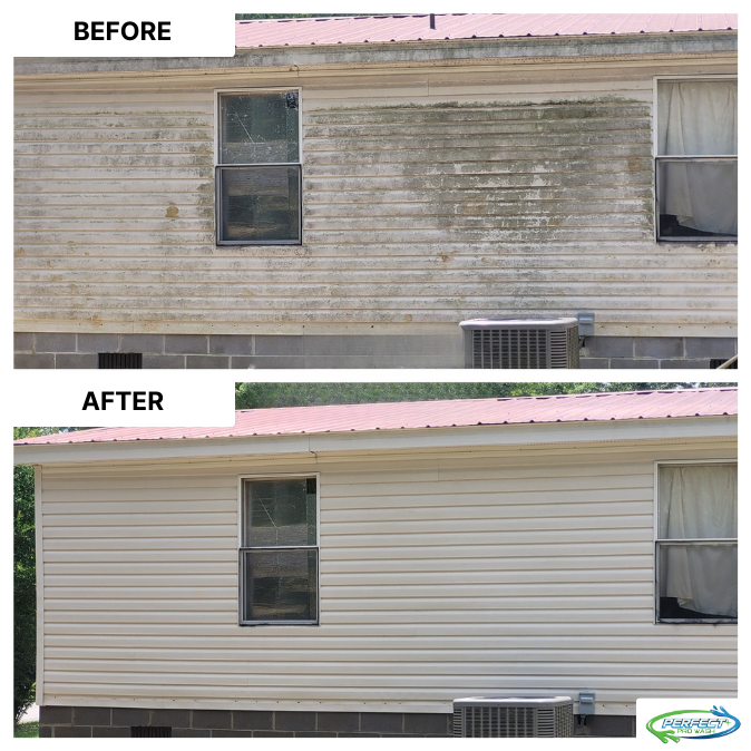 Gutter Cleaning for Perfect Pro Wash in Oxford, AL