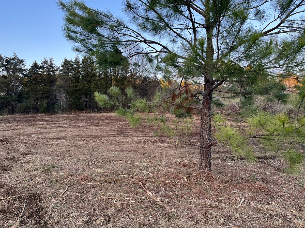 Land Clearing for Schrock’s Land Management in Northern Virginia, Shenandoah Valley, VA