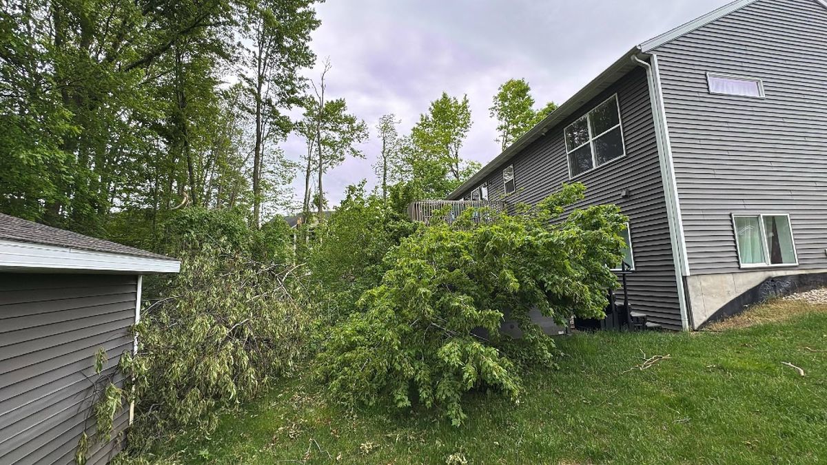 Storm Cleanup for Branching Out Tree Service in Hastings, MI