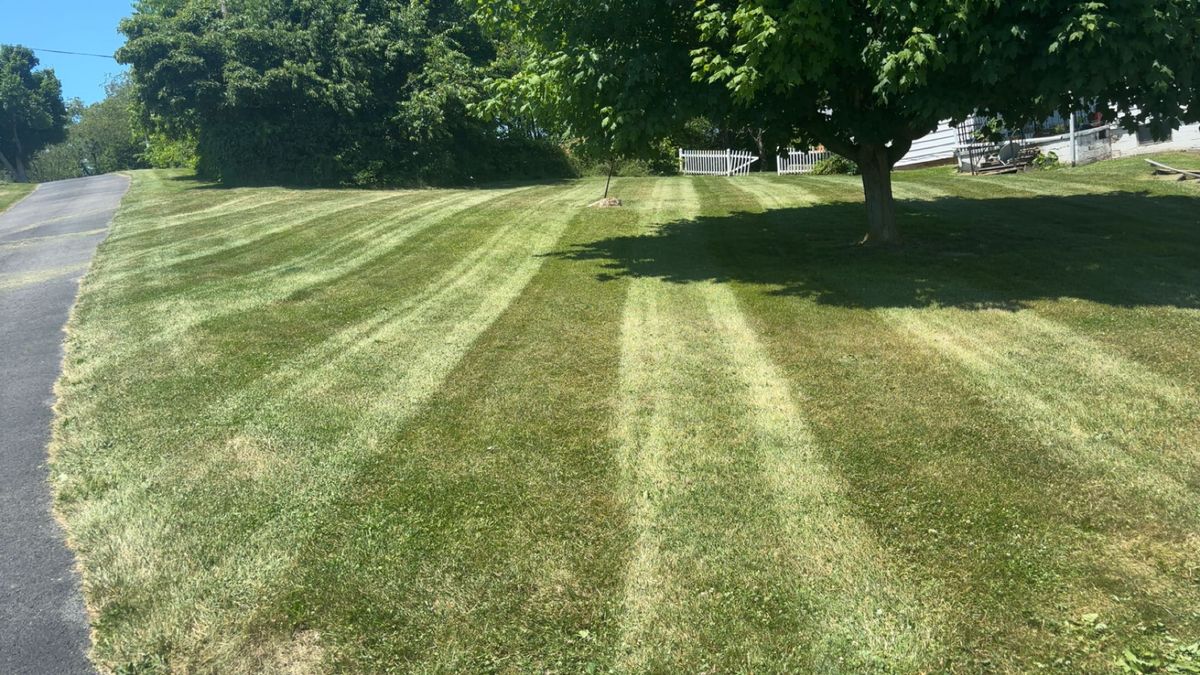 Spring & Fall Clean Up for Cam Yardz in Washington, PA