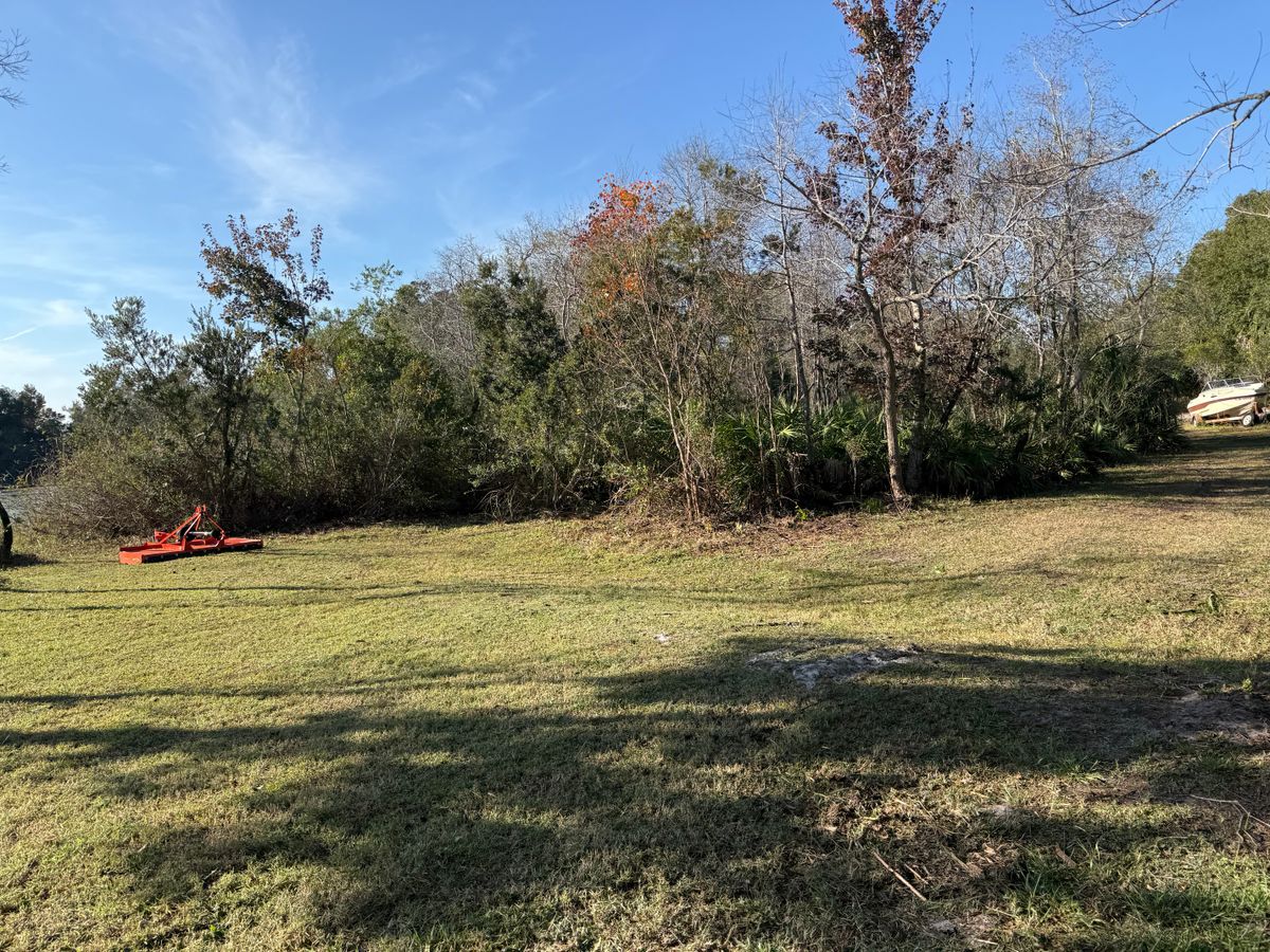 Fall Clean Up for Amerigrown Tree And Lawn in Apopka, FL