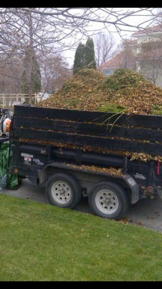 Junk Clean Up and Removal for Down To Business LLC in Howell, Michigan