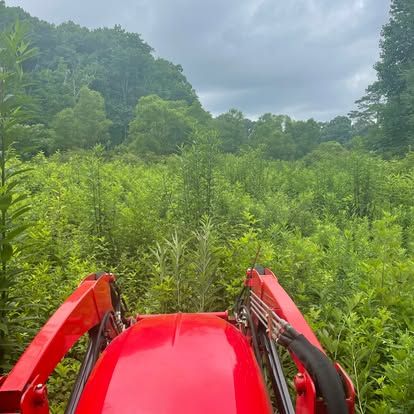 Brush Hogging for Browns' Fencing & Equipment in Fairmount, GA