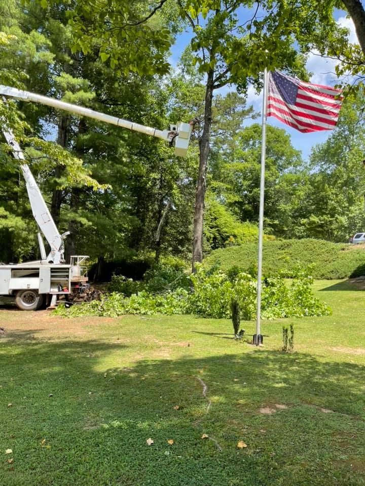 Land Clearing for Moore’s Tree Service in Chesnee, SC