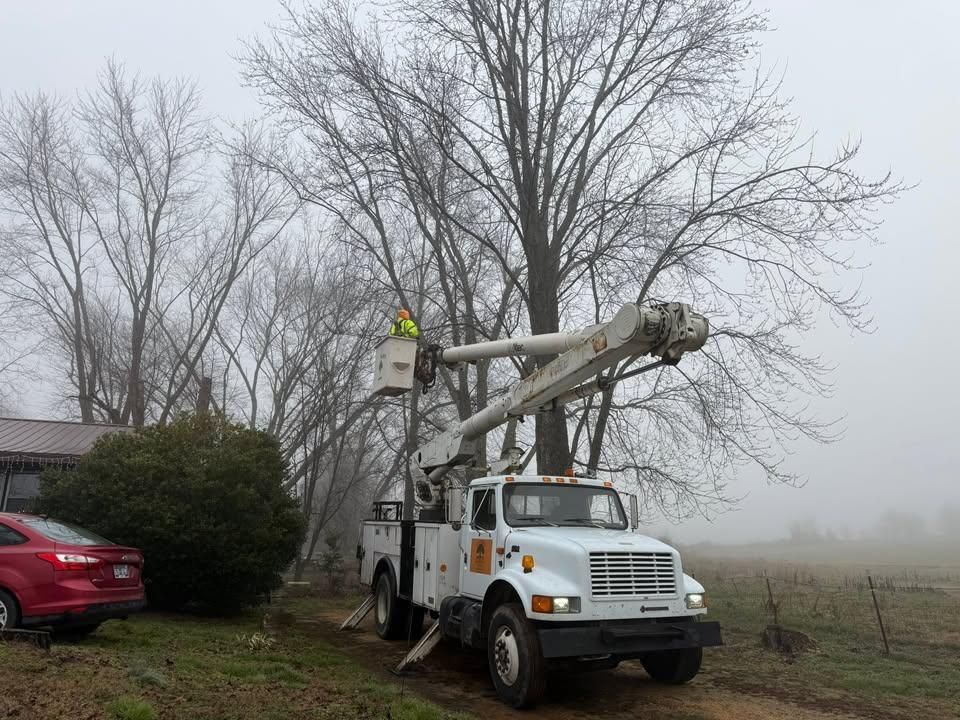Tree Trimming for Ross Family Tree Service LLC  in Hohenwald, TN